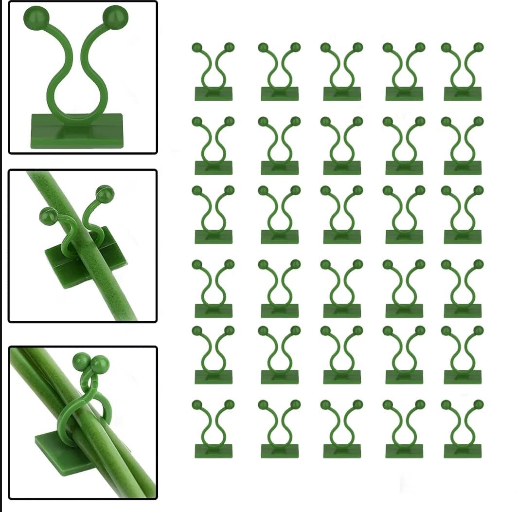 IMPORTED 30 Pcs Self-Adhesive Plant Climbing Wall Clips | Invisible & Damage-Free Plant Fixer for Indoor Vines & Outdoor Creeper Plants (Garden Organizer Set)
