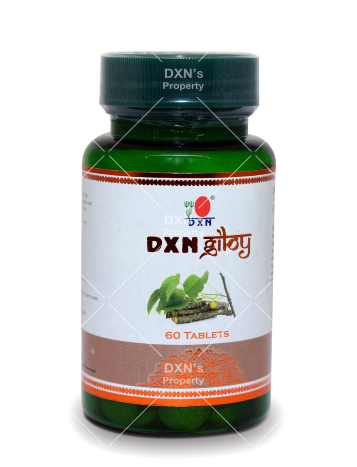 DXN Giloy Tablets (60)